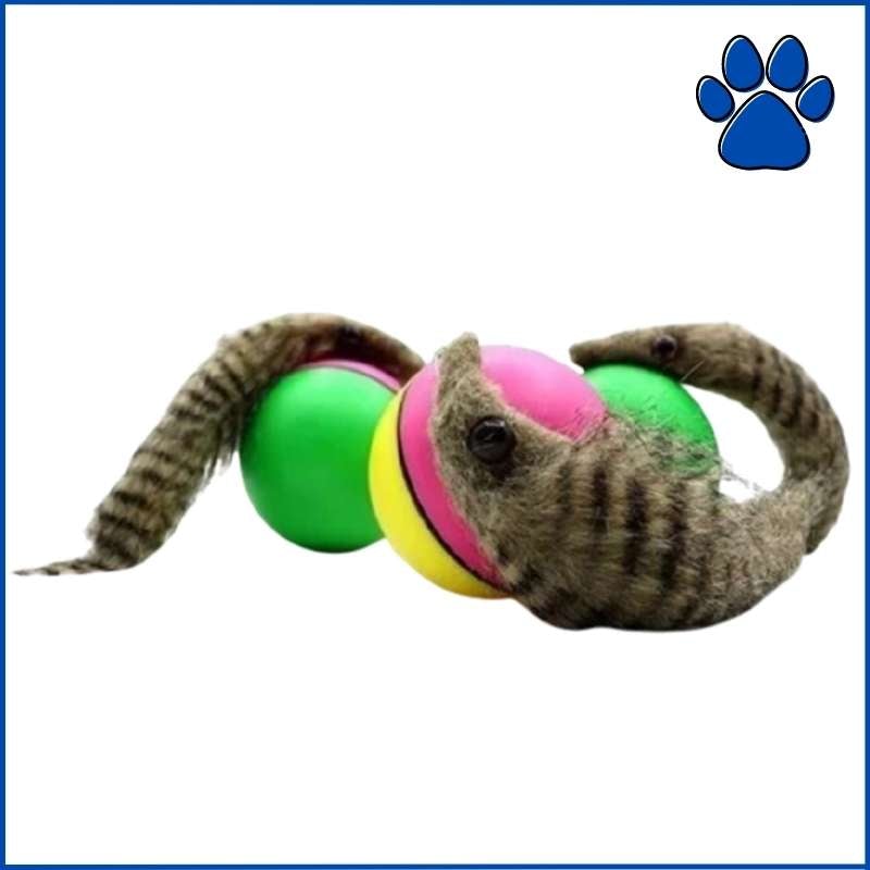 PlayBall® | Electronic interactive pet toy